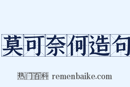 莫可奈何造句是什么意思的图片